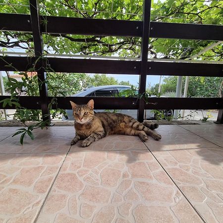 Apartman Rosita Krasica  Εξωτερικό φωτογραφία