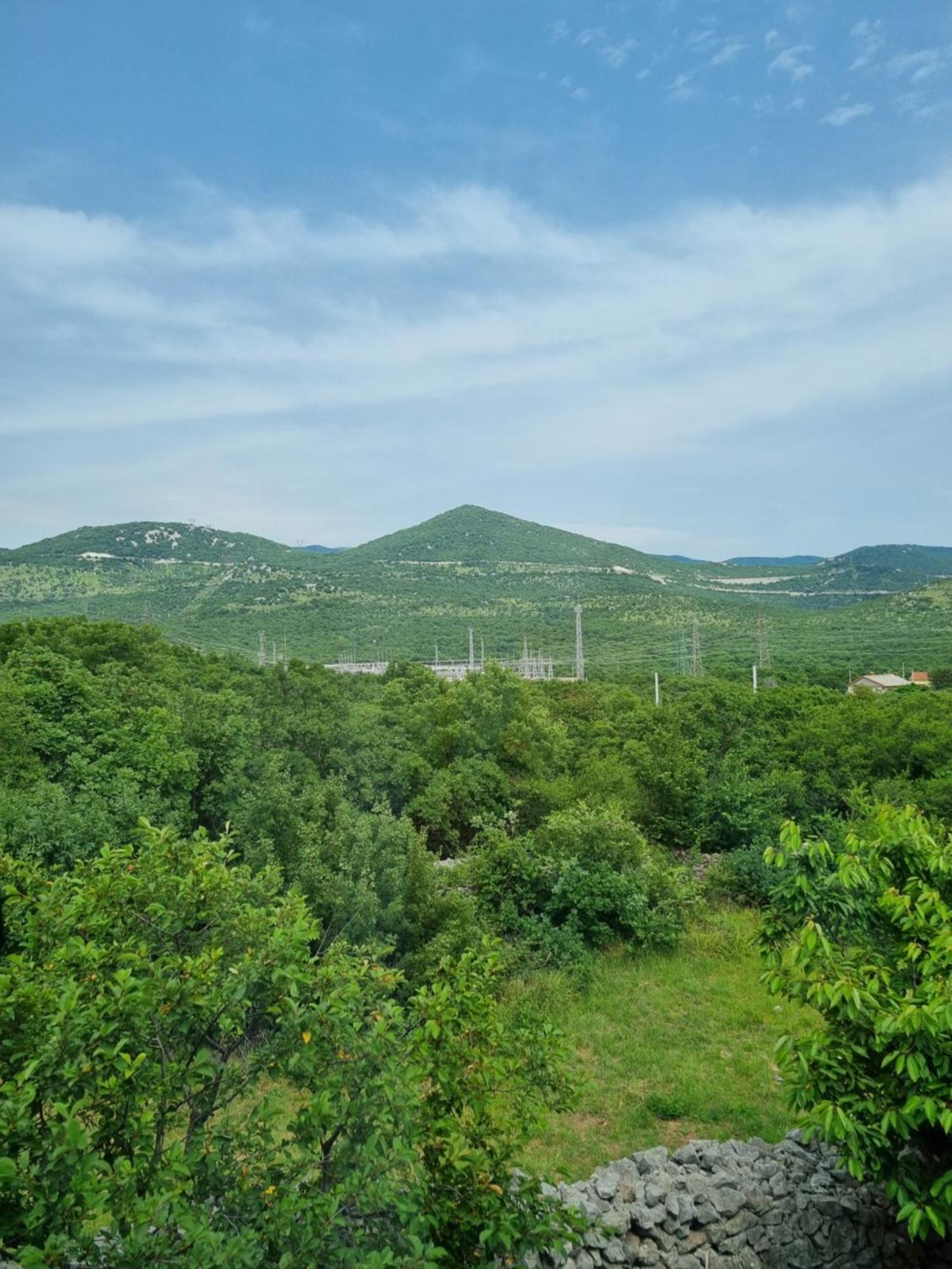 Apartman Rosita Krasica  Εξωτερικό φωτογραφία